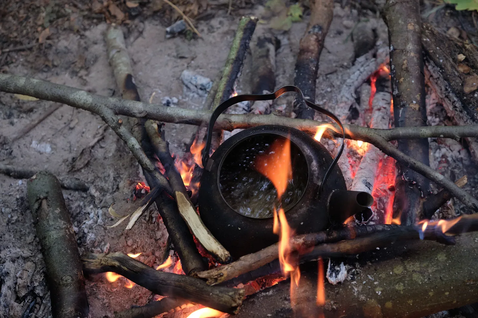 Eicheln kochen, um Tannine vor dem Essen auszuspülen
