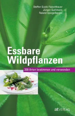 Pflanzliche Survival Nahrung: Die Wilde Möhre