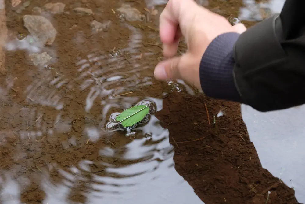 Für den Bau eines Behelfkompass benötigst du Wasser