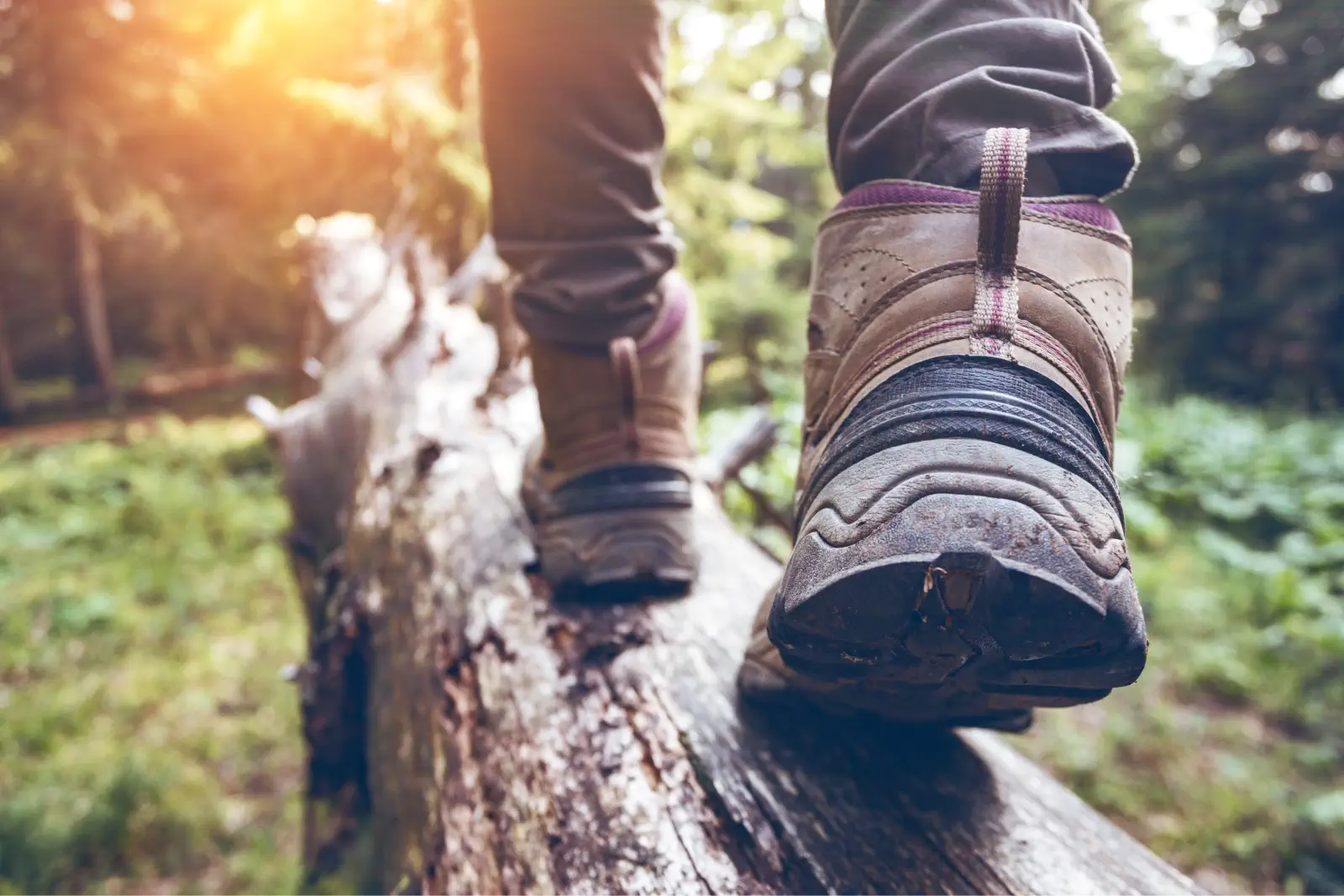 Ausbildung zum Survival Guide und Survival Trainer