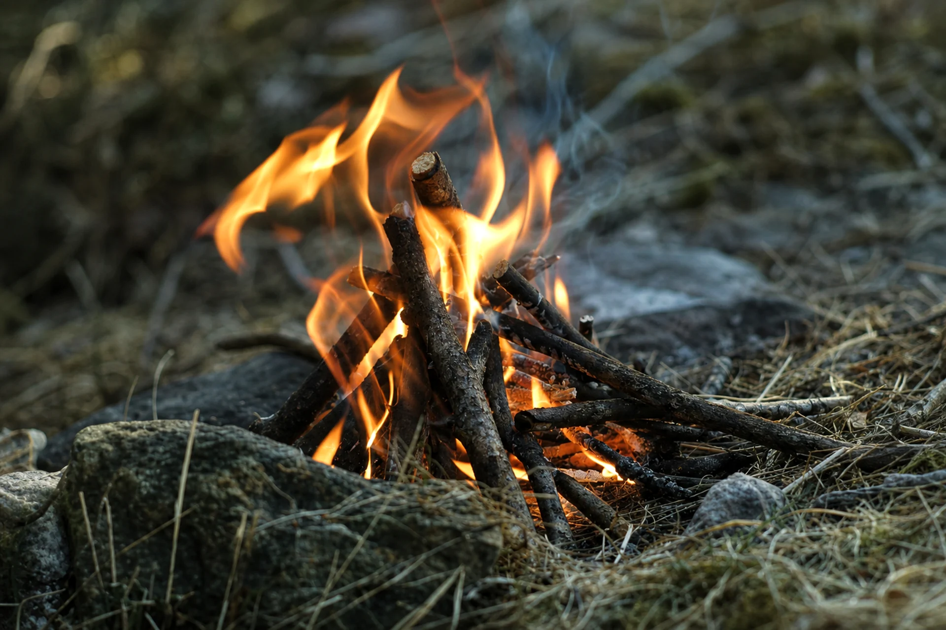 Feuer machen beim Survival Wochenende im Schwarzwald