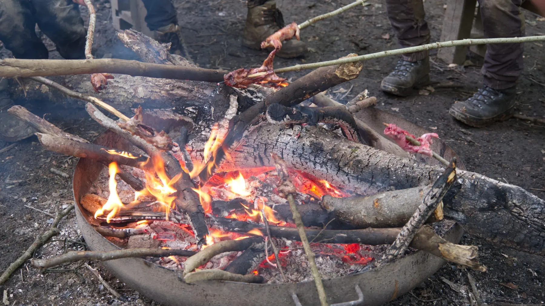 Zubereitung tierischer Notnahrung im WILD-Master-Kurs