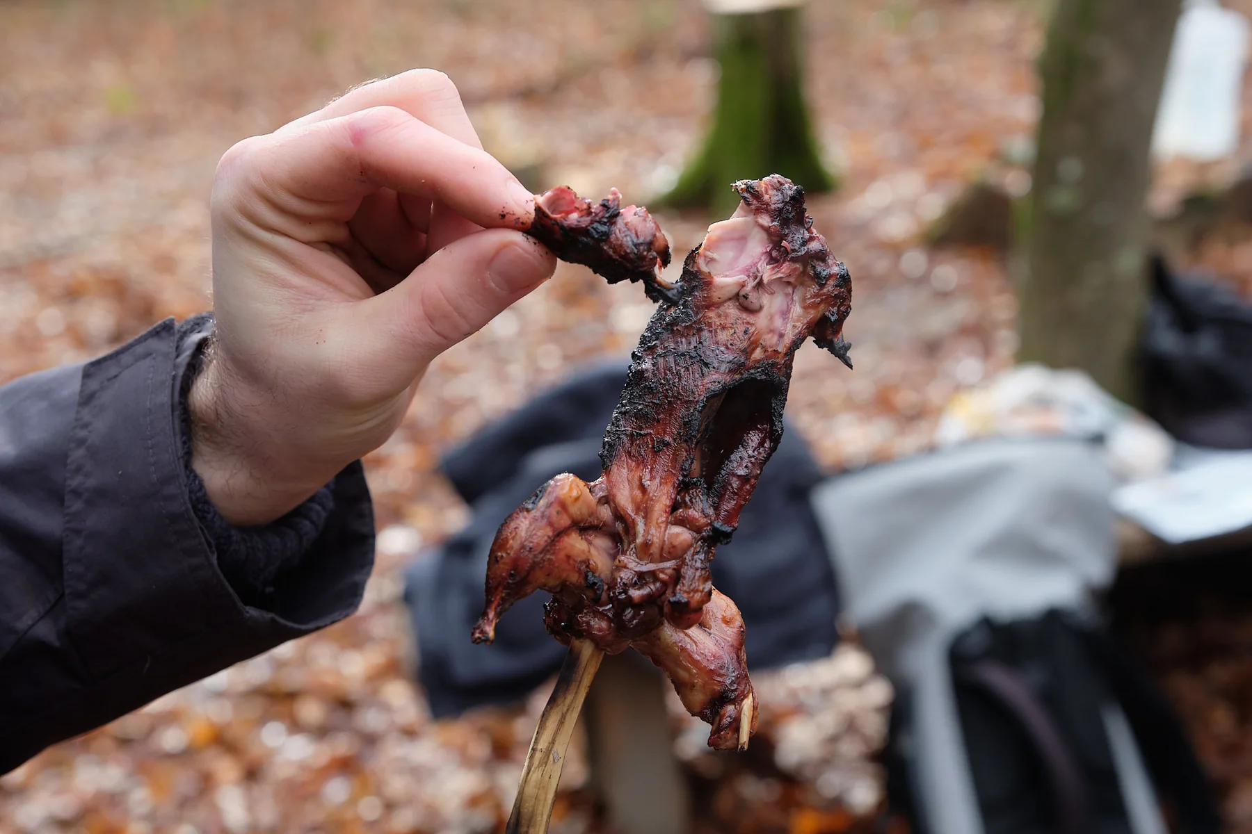 Zubereitung tierischer Notnahrung beim WILD Master Survival Training